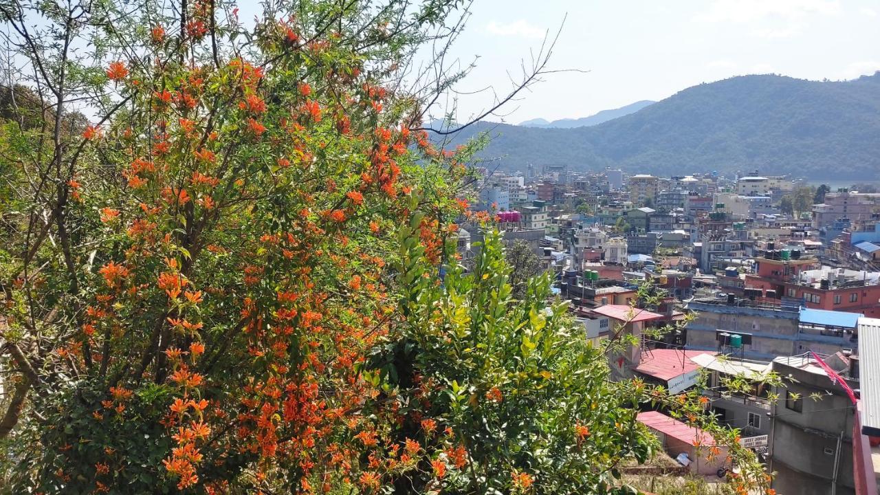 Peace Guesthouse Cottage Pokhara Luaran gambar